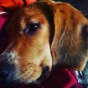 Meet your Posher, Helene